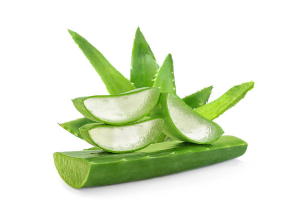 Meaning of Dreaming About Eating Aloe Vera